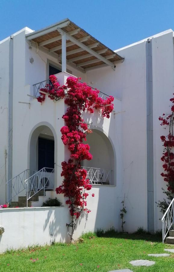 Allegria Family Hotel Agios Petros  Exterior photo